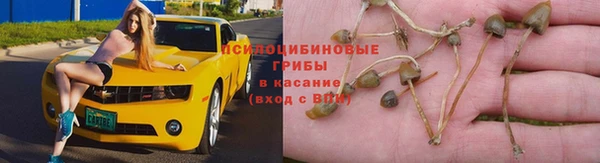 ECSTASY Абаза