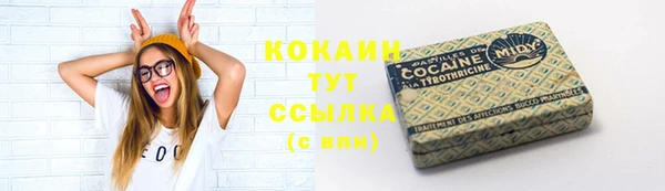 ECSTASY Абаза