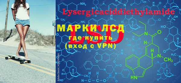прущие грибы Алзамай