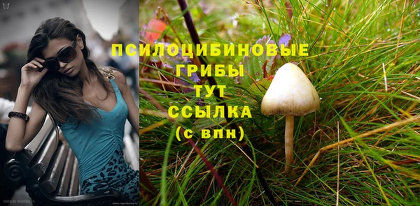 spice Алексеевка