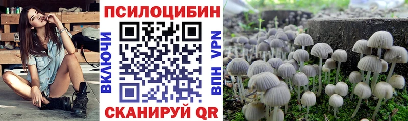 где продают   Покачи  Псилоцибиновые грибы мухоморы 